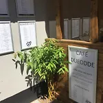 Dueodde Hostel *