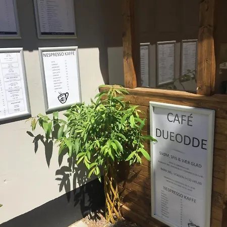 Dueodde Hostel *