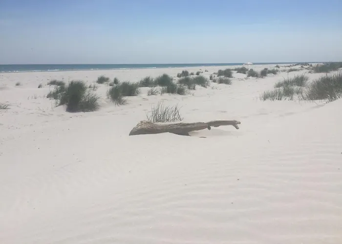 אכסניה Dueodde *