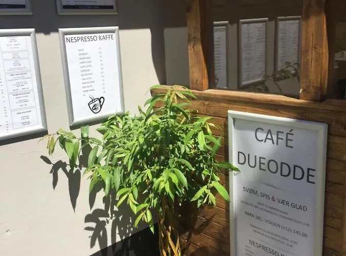 Dueodde Vandrarhem *