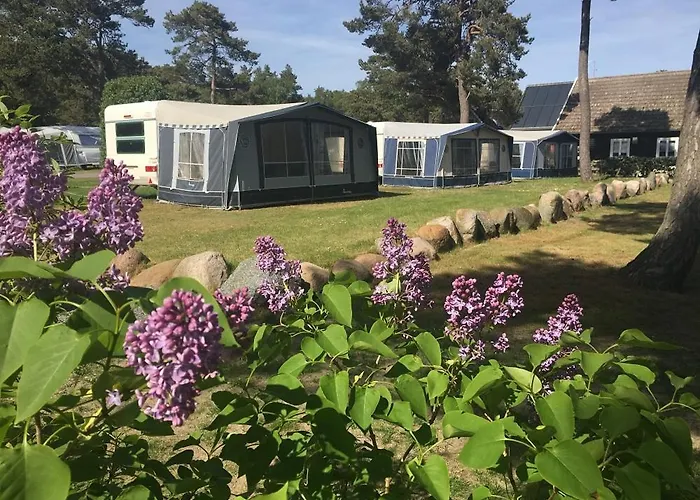 Dueodde Vandrarhem Neksø